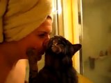 Hermoso Gato Dando Besos ★ humor gatos video divertido gatos chistosos risa gato