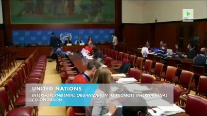 Libya's Gen Haftar urges end to arms embargo in U.N. talks