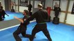 Técnicas de Kenpo Karate