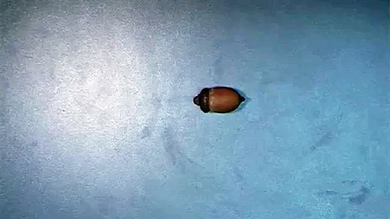 Film animation entraînement 1
