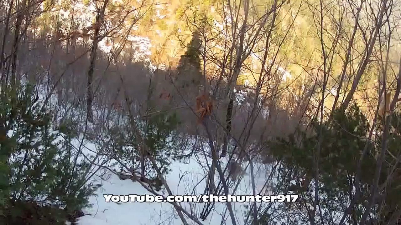 Bol Aksiyonlu Bir Domuz Avı 2015 Wild Boar Hunting