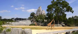 Le Parc Zoologique de Paris, une nouvelle espèce de zoo