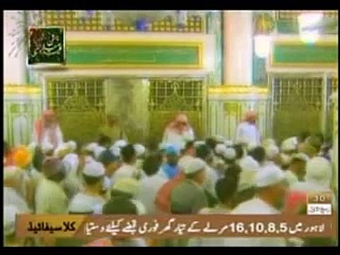 Mera Dil Aur Meri Jaan Madinay Walay- Mehmood Ul Hassan Ashrafi