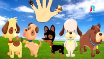 Finger Family Nursery Rhymes for Children Dogs Cartoon | Finger Family Rhymes for Babies