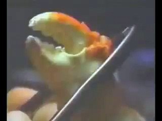 crab legs