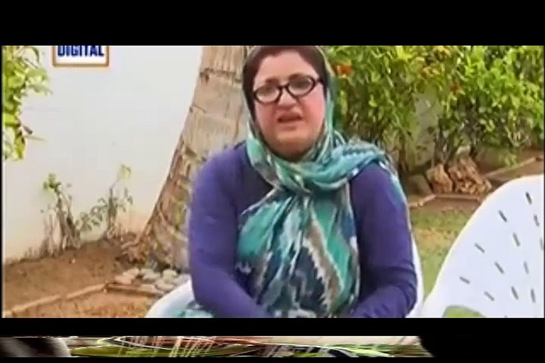 Bulbulay – 17  December 2015