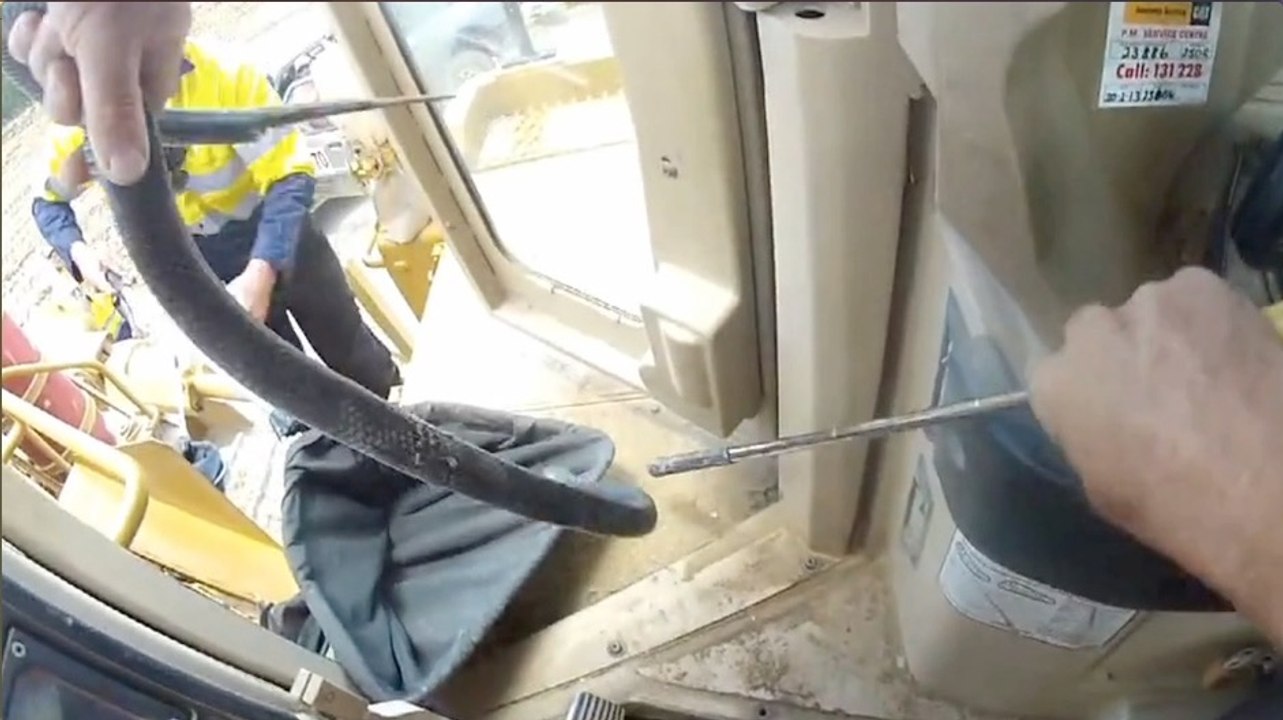 Dangerous Snake Carefully Extracted From Inside a Vehicle