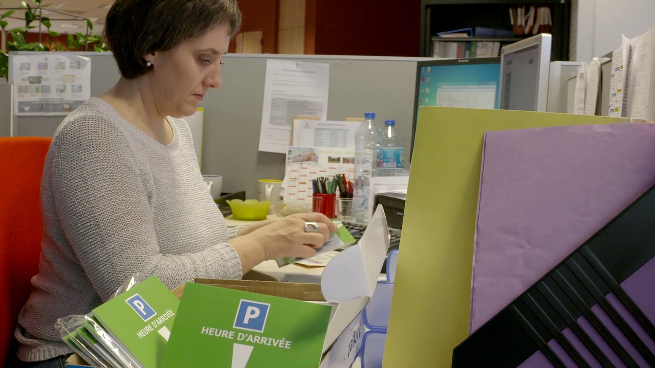 SyDEV Trophées Territoires Électromobiles 2015