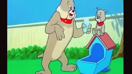 Türkçe Çizgi Film / Tom ve Jerry Çizgi Film