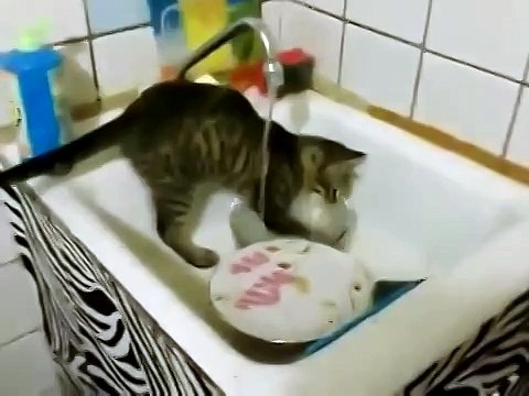 Ели все, а посуду мыть так Вася