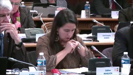 Céline MAGLICA. Maison départementale des personnes handicapées (MDPH). Décembre 2015