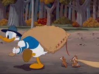 Donald Duck Cartoons Full Episodes - Catteries Not Included