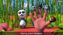 Wild Animals Finger Family 3D | Nursery Rhymes | Rhymes For Children