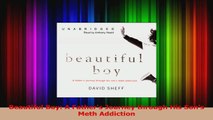 PDF Download  Beautiful Boy A Fathers Journey through His Sons Meth Addiction Read Full Ebook