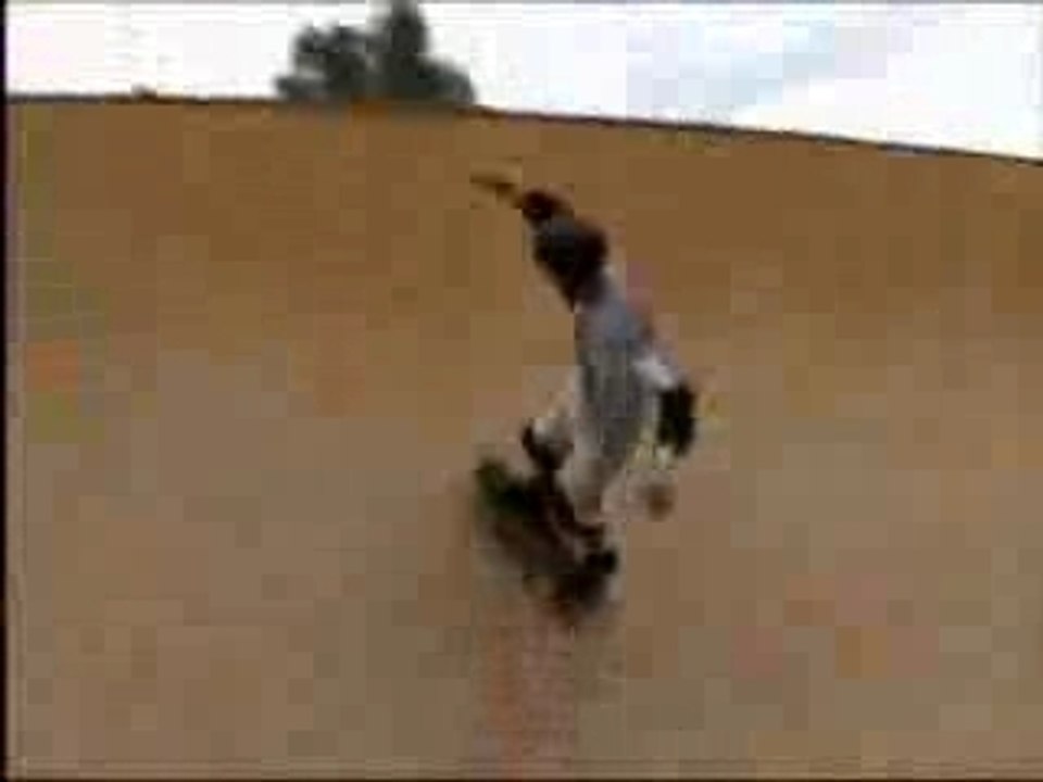Skate acrobatico