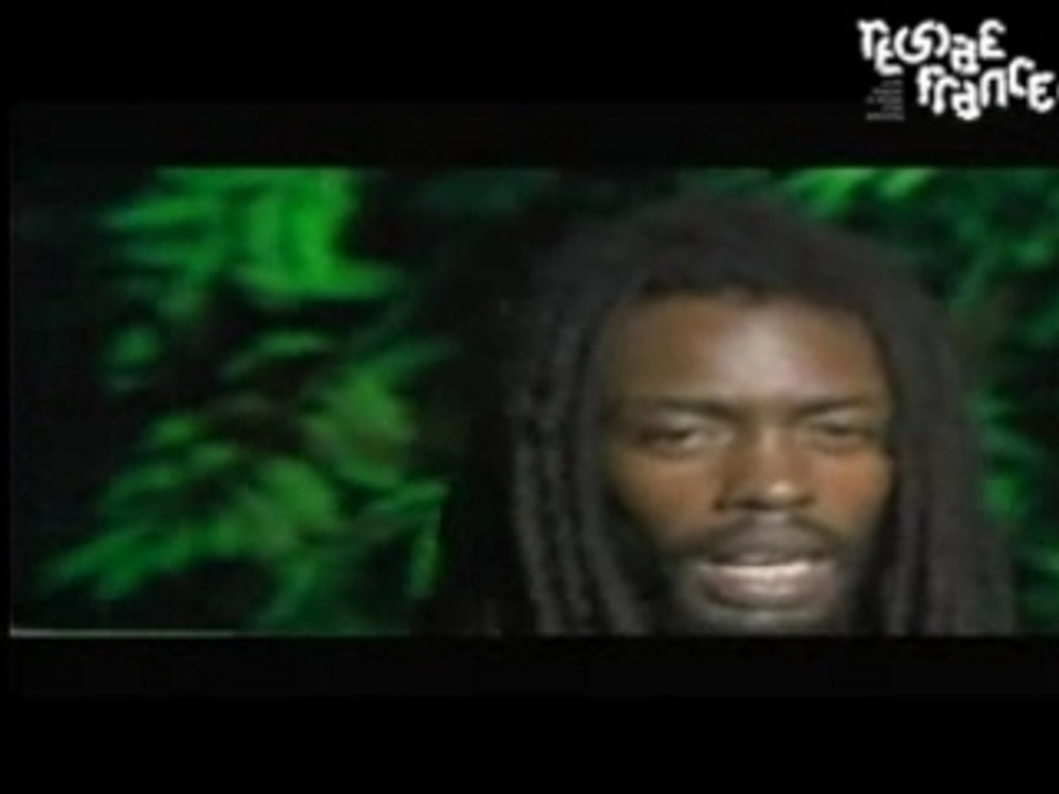 I wayne lifeseeds