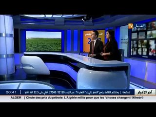 سكن - توزيع 6 ألاف مسكن.. خطوة أخرى للقضاء على الأحياء القصديرية نهائيا