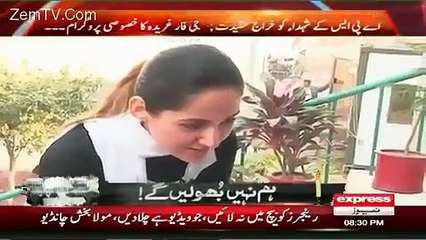 Politics vs. Cricket: The Surprising Reasons Why Both Capture India's Heart 🇮🇳