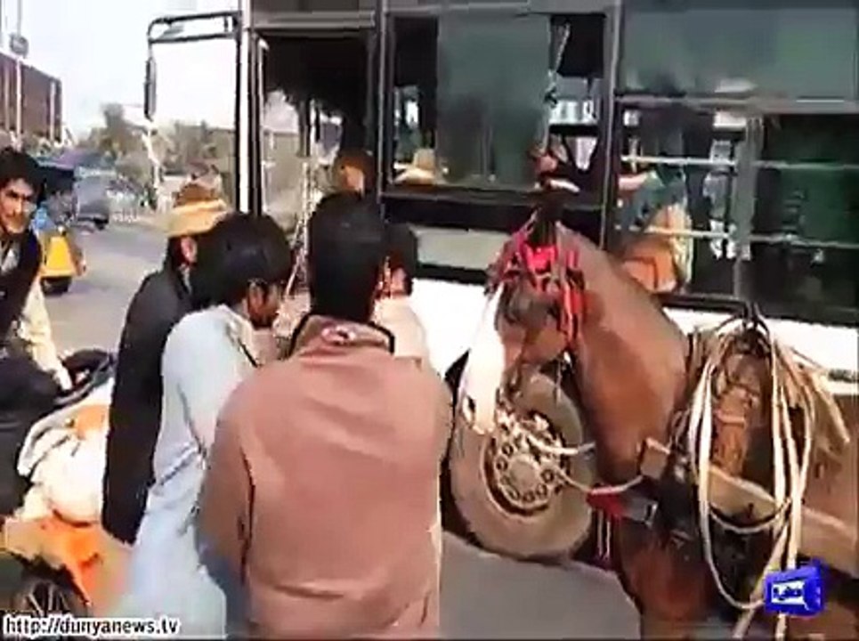 5 Puree ki khatir Larai