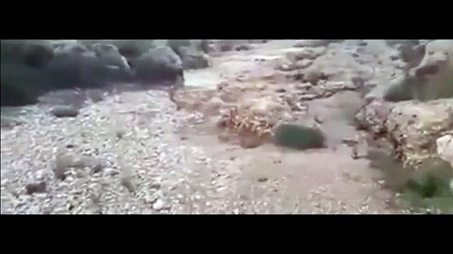 This Is What Flash Flood Looks Like! HOLY SHIT!