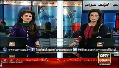 PANGOLIN Found in Karachi