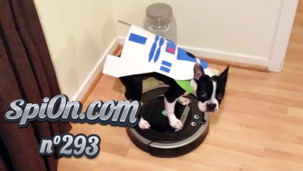 Le Zap de Spi0n n°293 - Zapping du Web