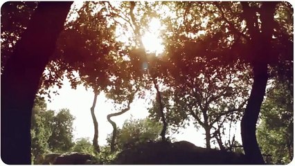 Samsung Galaxy Grand  Mobile Back Covers at Look Buy Kart