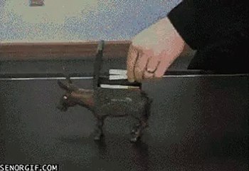 Eşekle Tütün Sarıp Atla İçmek