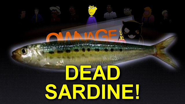 Cheating Housewife Prank - Ownage Pranks