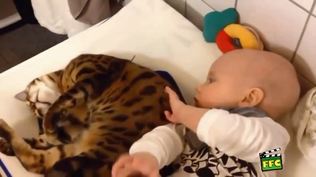 ЭТО нужно показывать по ТВ каждый ДЕНЬ !!!