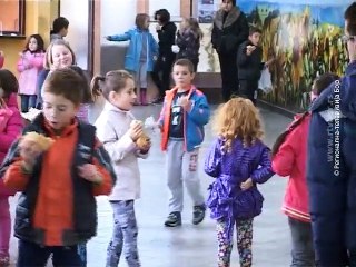 Vesti na rumunskom jeziku, 19. decembar 2015. (RTV Bor)