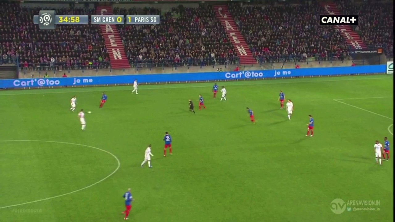 Zlatan Ibrahimovic FANTASTIC GOAL - Caen vs PSG