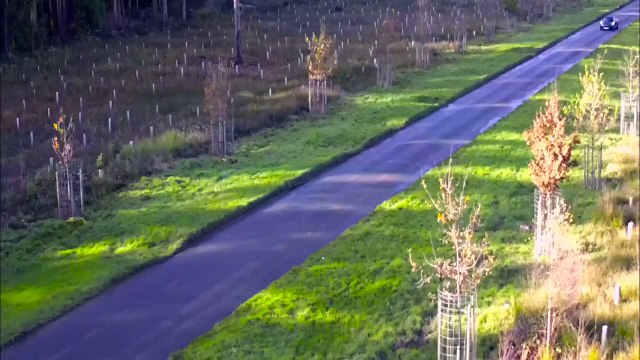 La Lotus Exige Sport 350 en action sur circuit