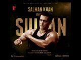Sultan Official Trailer Releasing Eid 2016  Salman khan