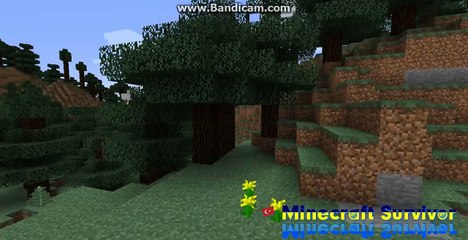 Minecraft Survival - Uzun İntro