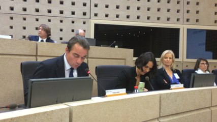 La parole aux groupes d'élus : Philippe Henry (centristes)