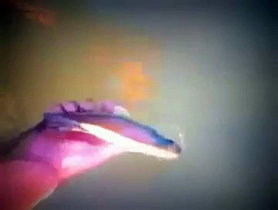 Hiç Bir Canlı Sevgiye Sessiz Kalmaz