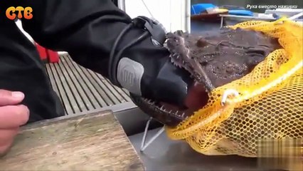 Рука вместо наживки!