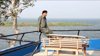 Shahjan Dawoodi     Saleh M Saleh