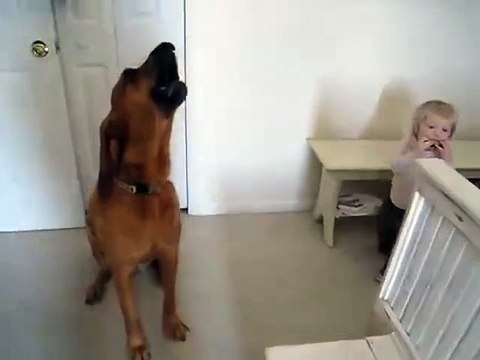 Terrible musician and horrible singer... Cute dog and toddler