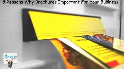 The Top Five Main Reasons Why Brochures Essential For Your Business