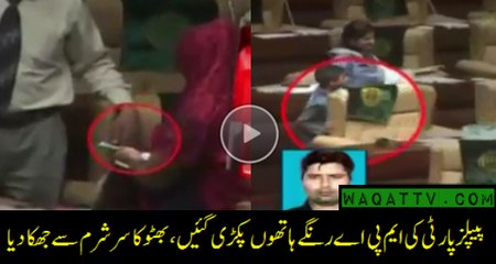 See What is Happening in Sindh Assembly Exclusive Video