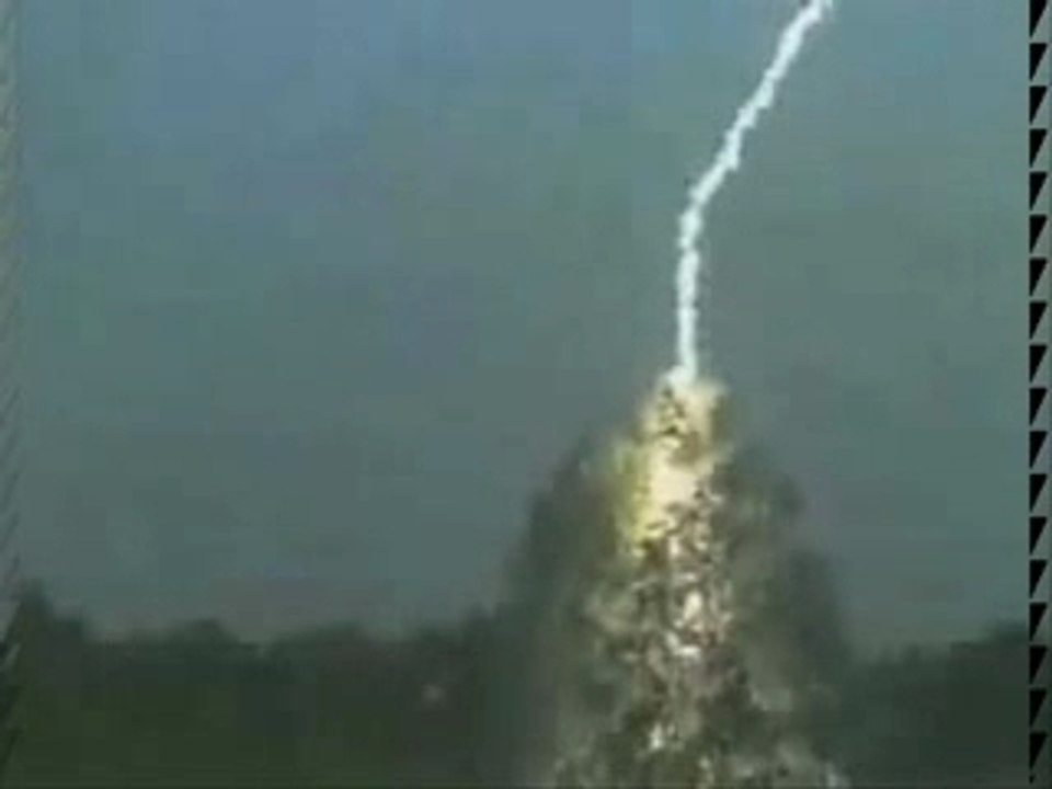 Eclair frappant un arbre