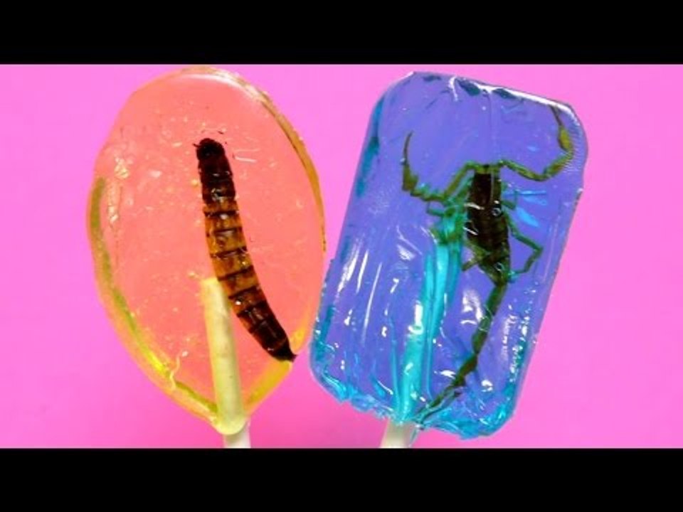 Would you eat a Lollipop with insects? Edible Insect Candy