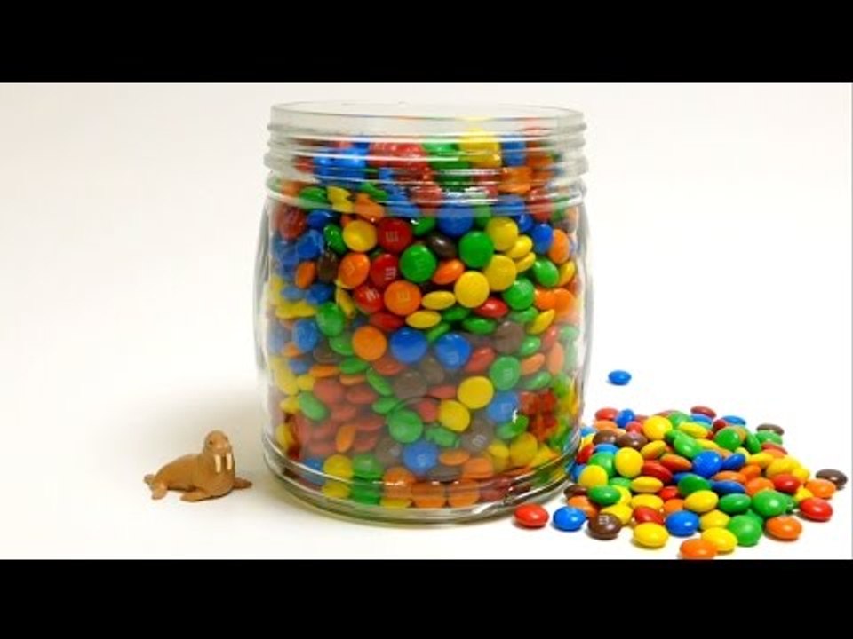 M&M's Surprise Toys - Hide & Seek - Hello Kitty, Kawaii, Blue Elephant and much more