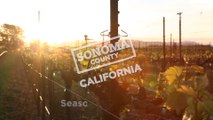 Seasons of Sonoma County - Sonoma County, California