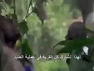 بالقرب من أحد أنهارأفريقيا يقومون بجمع ملايين البعوض ويصنعون منها الـهمبُرغر شي يوقف المخ