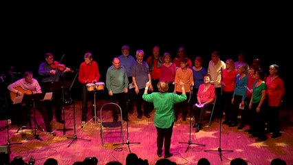 Maison des Arts : A nous d'chanter 2015 - La chorale d'un instant