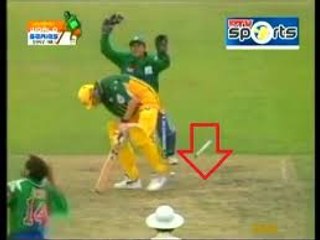 Shahid Afridi Dangerous Bowling vs Australia
