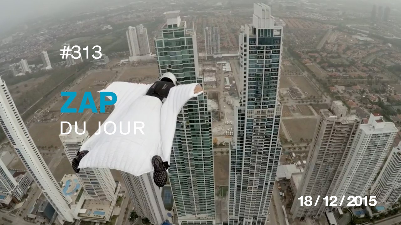 ZAP DU JOUR #313 : Un ours polaire chasse une phoque de manière furtive /